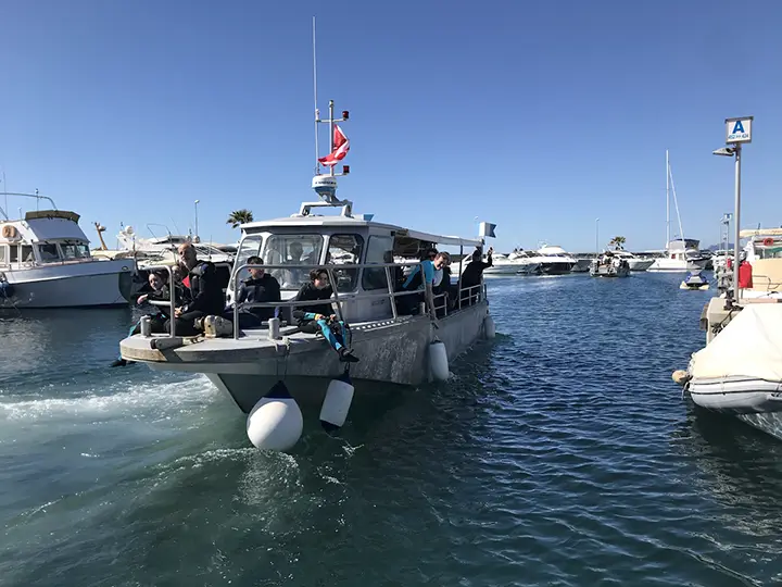 Easy Dive