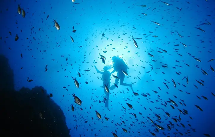 Passion Scuba Diving